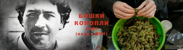 таблы Пересвет