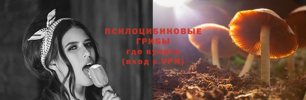 таблы Алексин